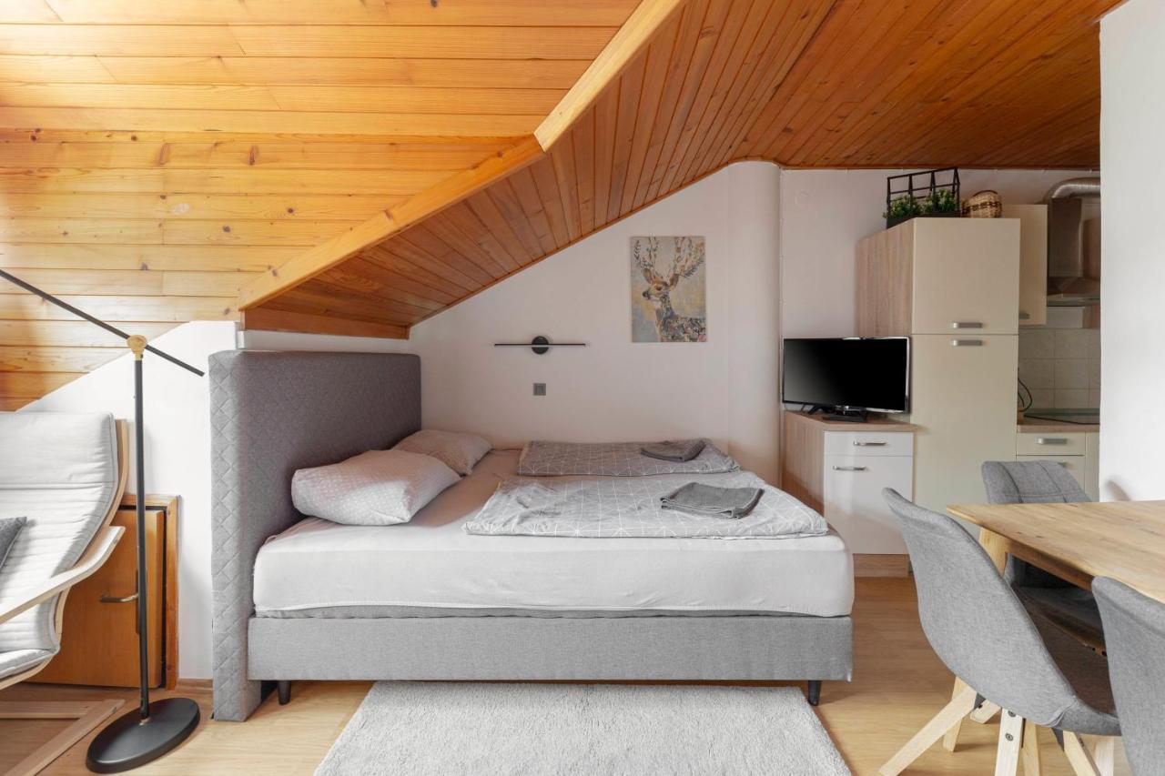 Apartma Alpine Space, - Center * Kranjska Gora